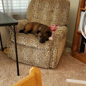 Meet your Posher, Niki